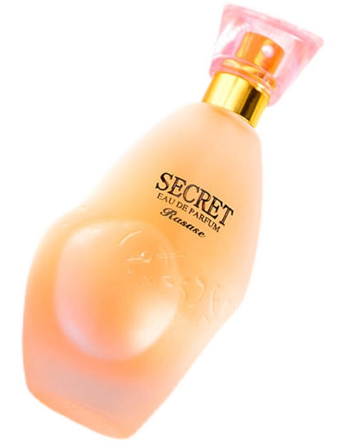Load image into Gallery viewer, Secret - Woman&#39;s Small Lasting Fragrance Perfume
